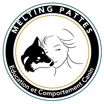 logo-melting-pattes